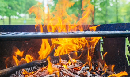 Similar image 11469244