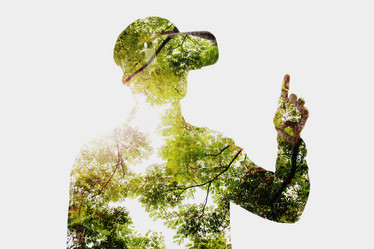 Similar image 11470500