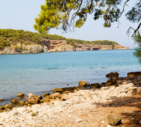 Similar image 11469158