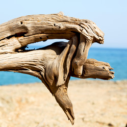 Similar image 11469159