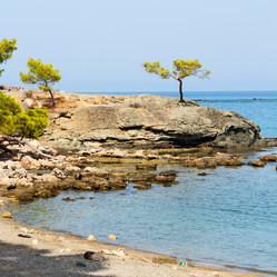 Similar image 11469162