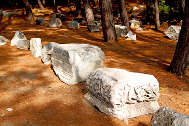 Similar image 11469168