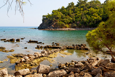 Similar image 11469169