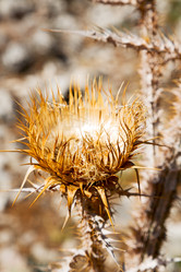 Similar image 11469170