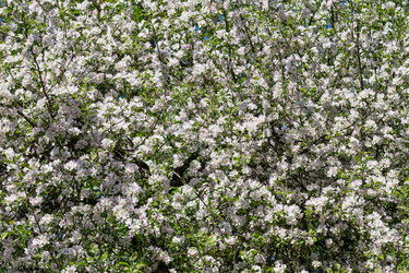 Similar image 11472647