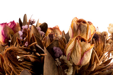 Similar image 11472648