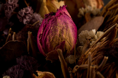 Similar image 11472652