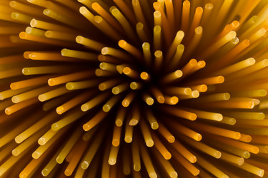 Similar image 11472662