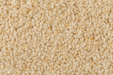 Similar image 11472554