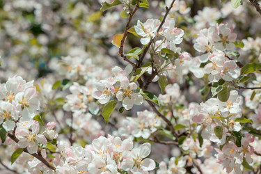 Similar image 11472568