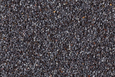 Similar image 11472624