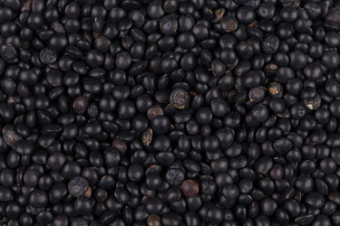 Similar image 11472628