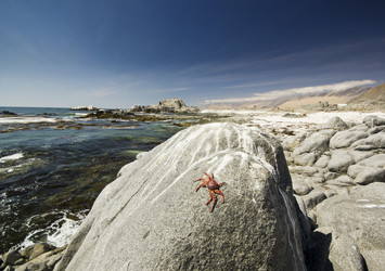 Similar image 11469427