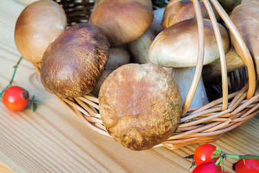 Similar image 11482609