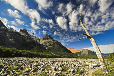 Similar image 11469484