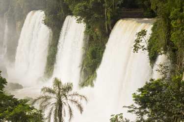 Similar image 11469521