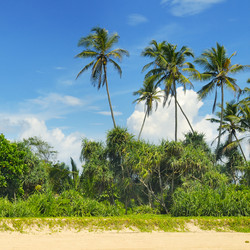 Similar image 11495669