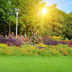 Similar image 11495672