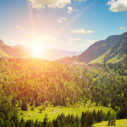 Similar image 11495675