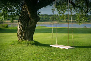 Similar image 11470697