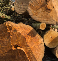 Similar image 11469043