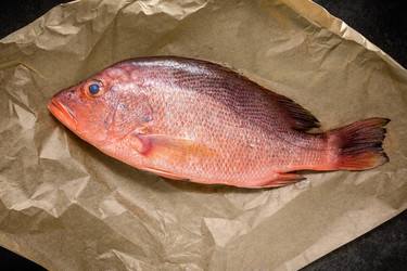 Similar image 11487686