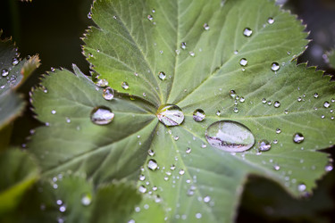 Similar image 11487688