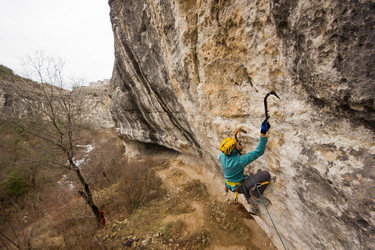 Similar image 11469404