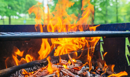 Similar image 11469248