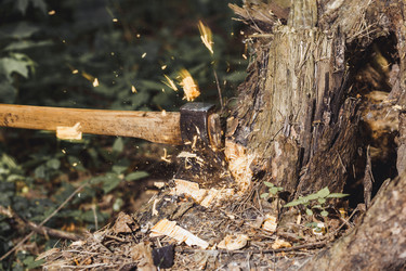 Similar image 11470699