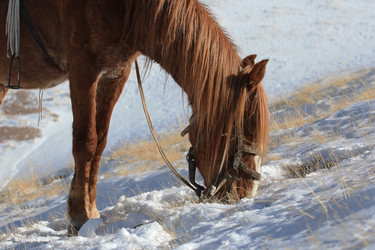 Similar image 11469273