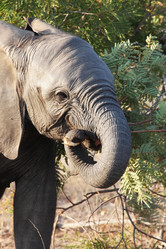 Similar image 11469282