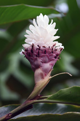 Similar image 11469299