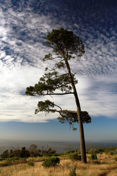 Similar image 11469300