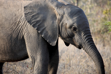 Similar image 11469304