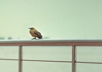 Similar image 11469051