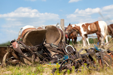 Similar image 11469179