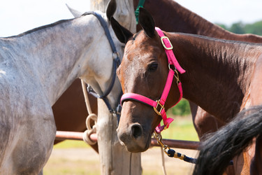 Similar image 11469181