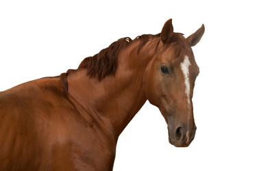 Similar image 11469183