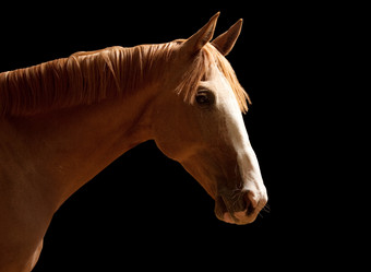 Similar image 11469184