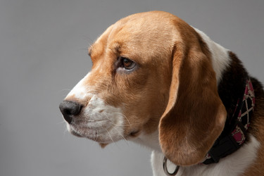 Similar image 11469185