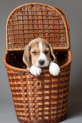 Similar image 11469187