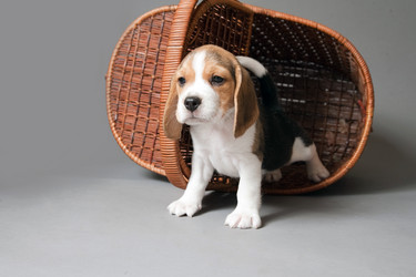 Similar image 11469191