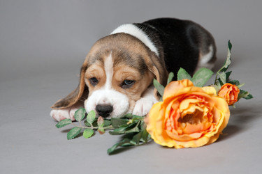 Similar image 11469192