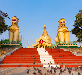 Similar image 11469155