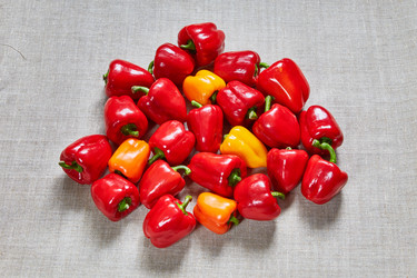 Similar image 11471145