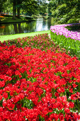 Similar image 11469557