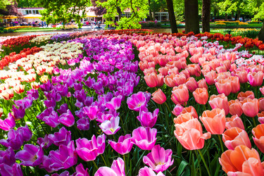 Similar image 11469559