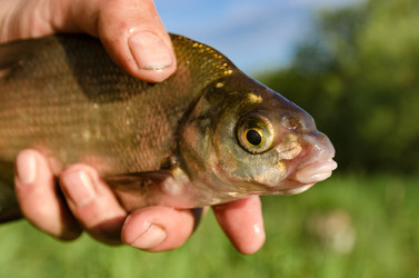 Similar image 11468927