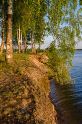 Similar image 11468928